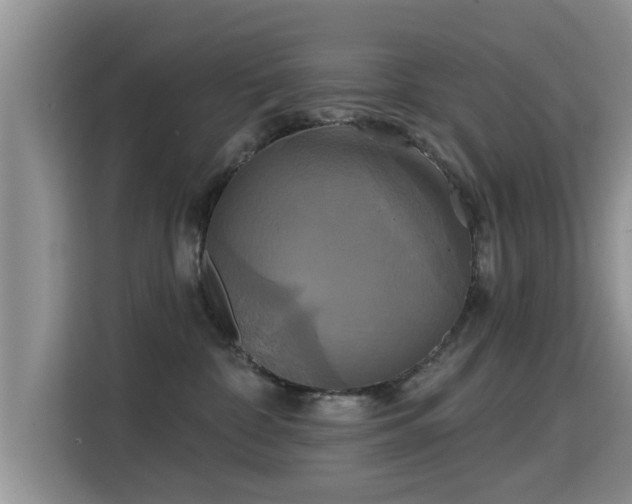 X0000115330332200911091250