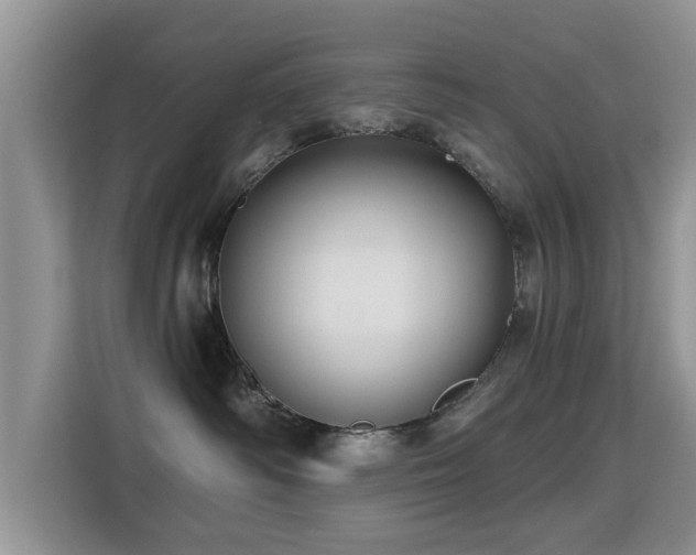 X0000115330334200911091250