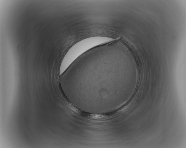 X0000115330336200911091250
