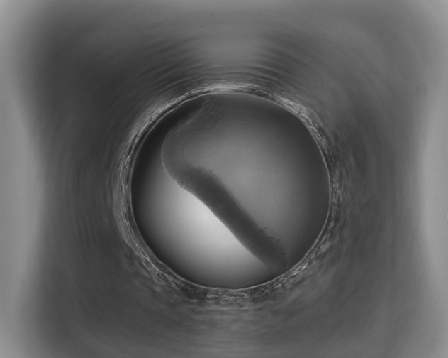 X0000115330337200911091249