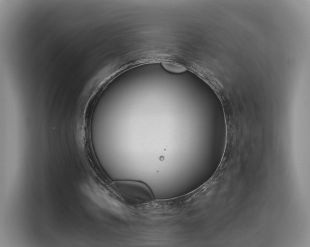 X0000115330338200911091249
