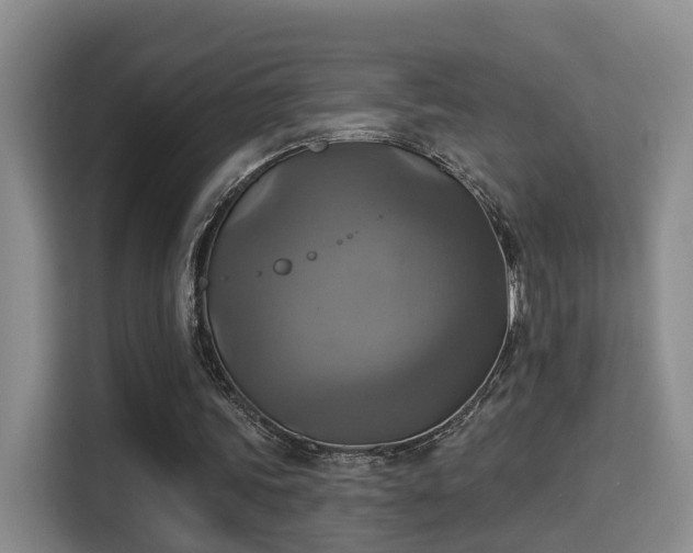 X0000115330339200911091249