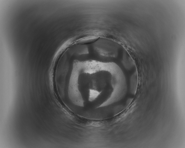 X0000115330341200911091249