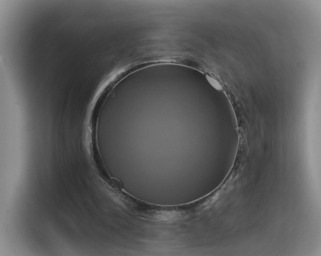 X0000115330342200911091249