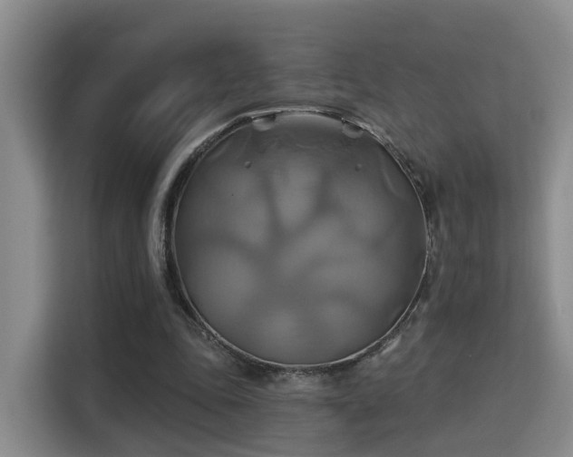X0000115330343200911091249