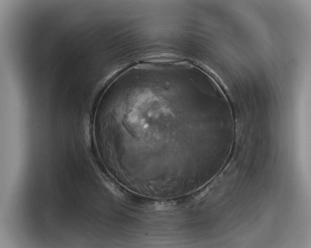 X0000115330345200911091249