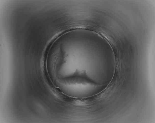 X0000115330346200911091249
