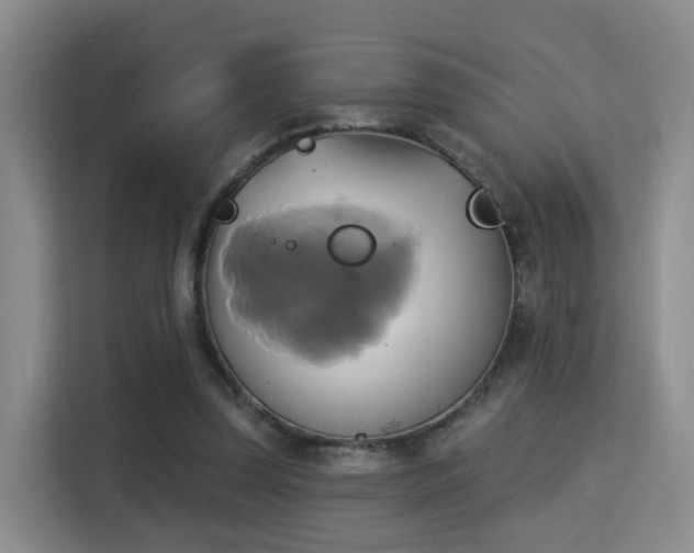 X0000115330347200911091249