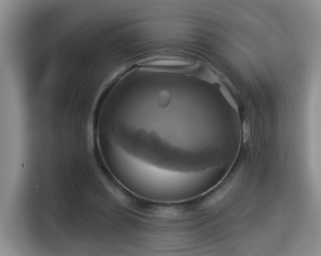 X0000115330349200911091249