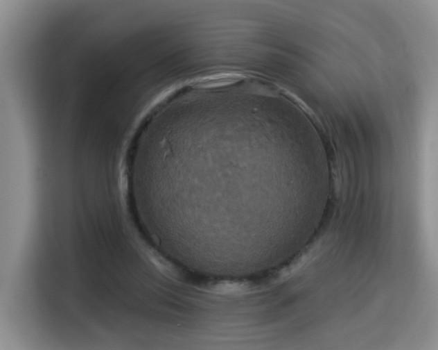 X0000115330350200911091249