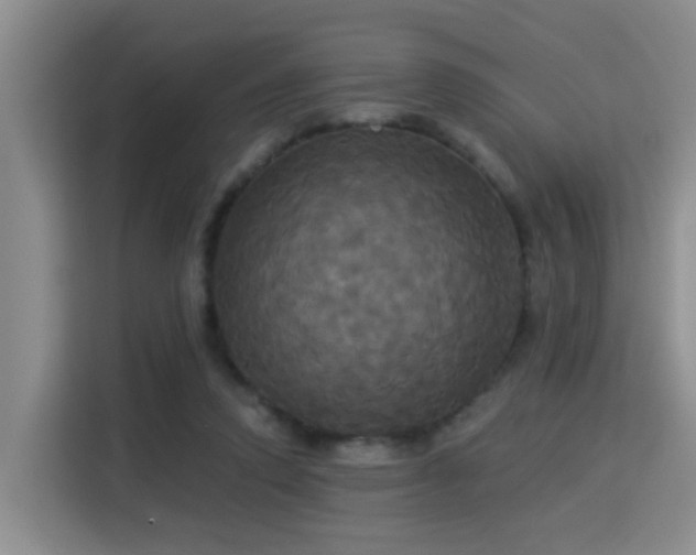 X0000115330354200911091250