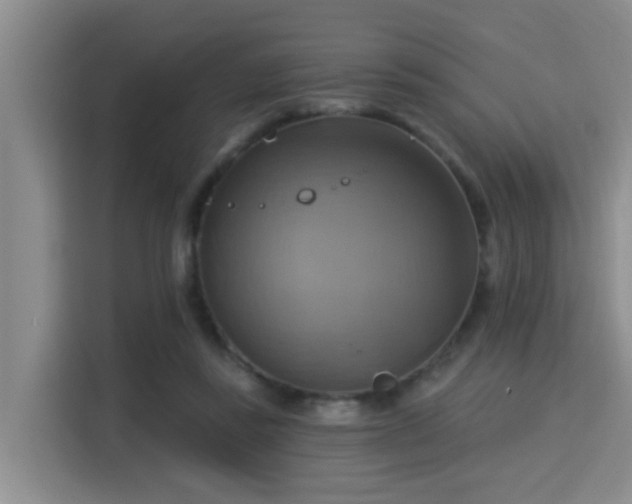 X0000115330355200911091250