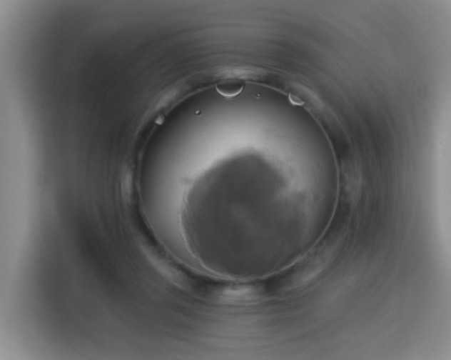 X0000115330357200911091250