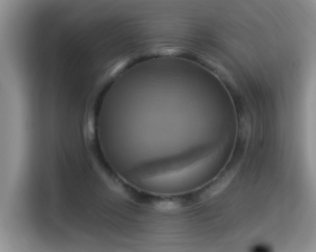 X0000115330358200911091250