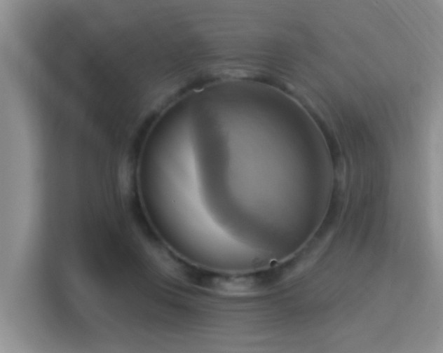 X0000115330359200911091250