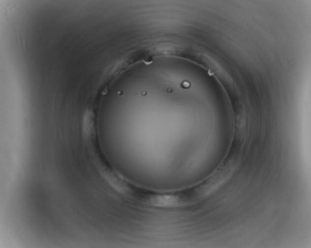 X0000115330361200911091250