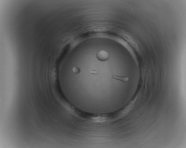 X0000115330362200911091250