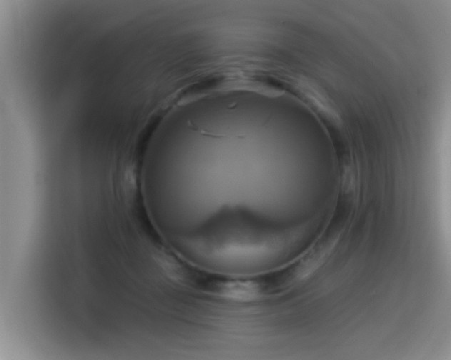 X0000115330363200911091250
