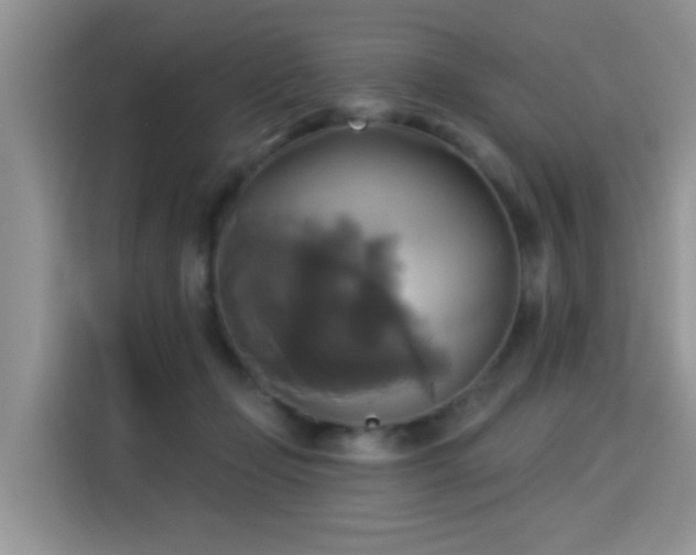 X0000115330365200911091250