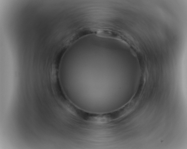 X0000115330366200911091250