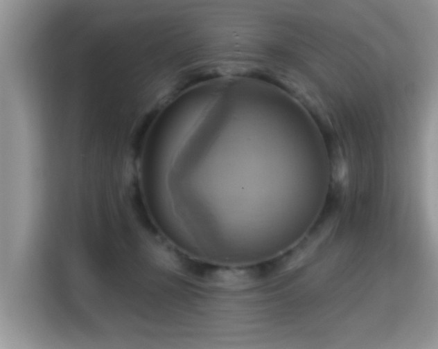 X0000115330367200911091250