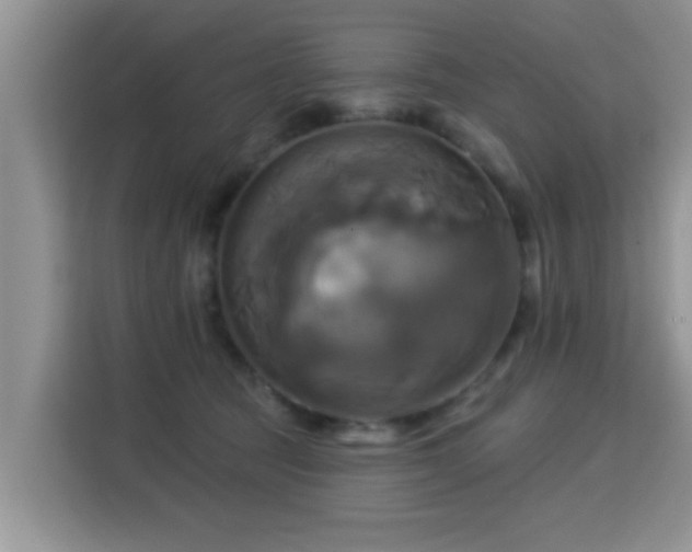 X0000115330369200911091250