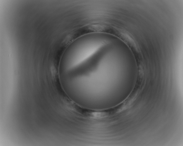 X0000115330371200911091250