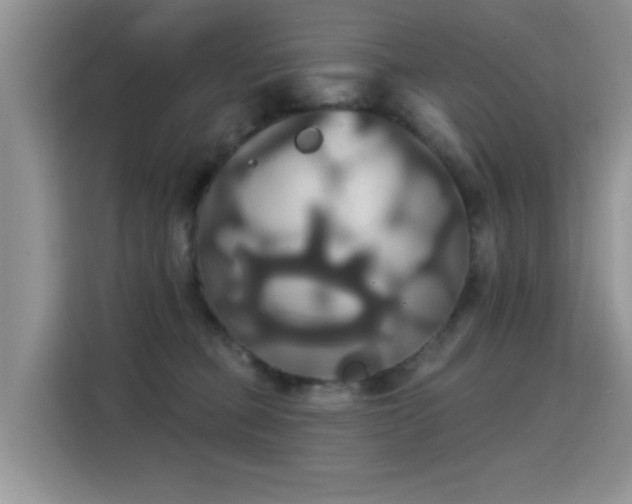 X0000115330373200911091250