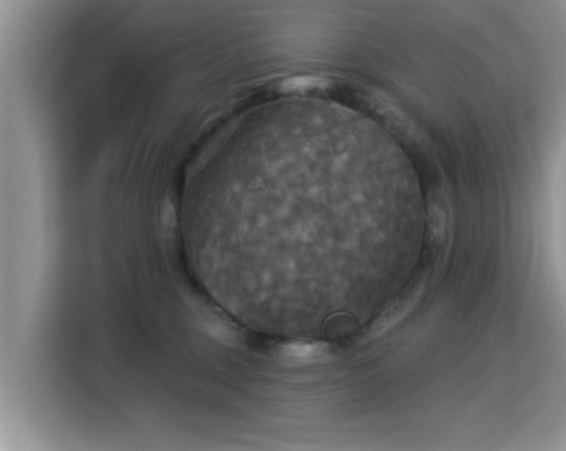 X0000115330375200911091250