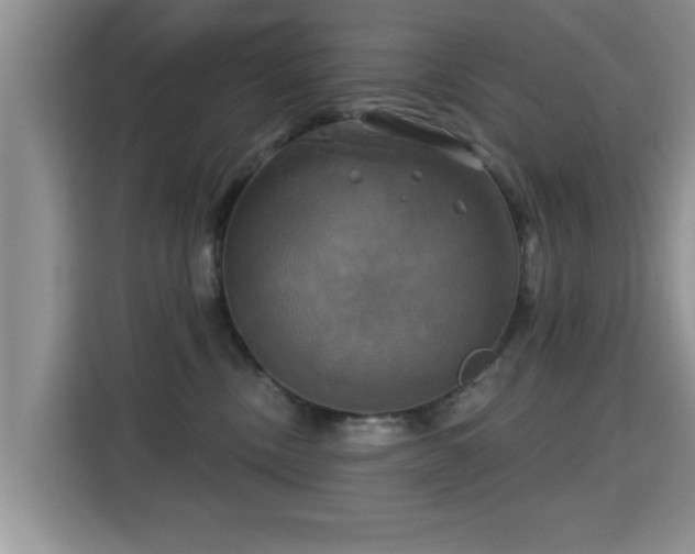 X0000115330378200911091250