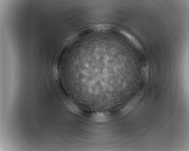 X0000115330381200911091250