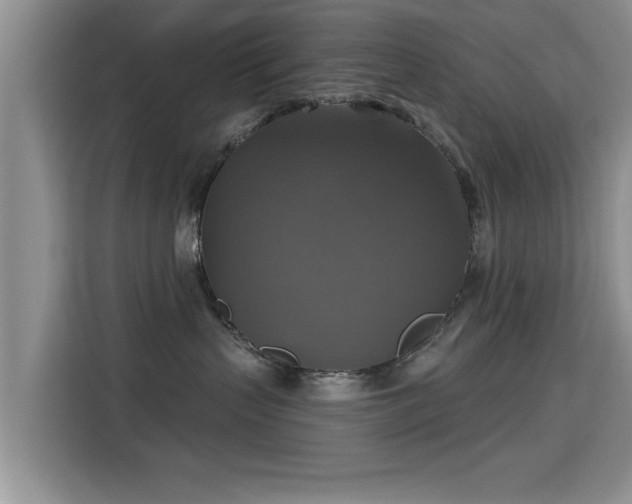 X0000115330383200911091250