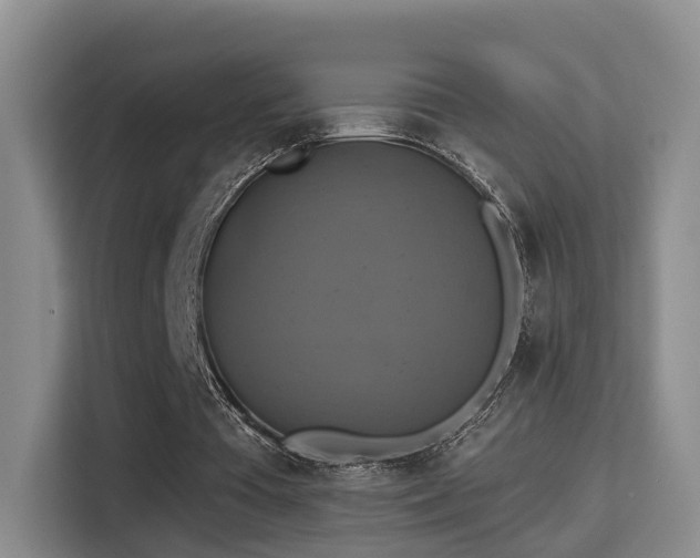 X0000115330385200911091249
