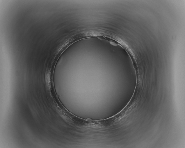 X0000115330386200911091249