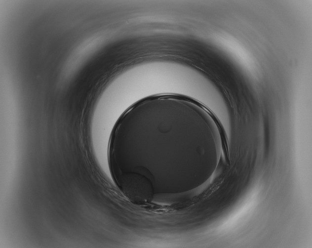 X0000115330387200911091249