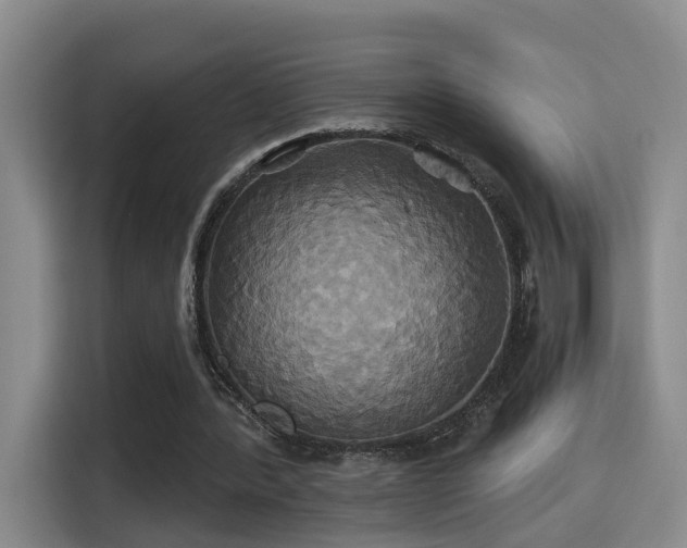 X0000115330388200911091249