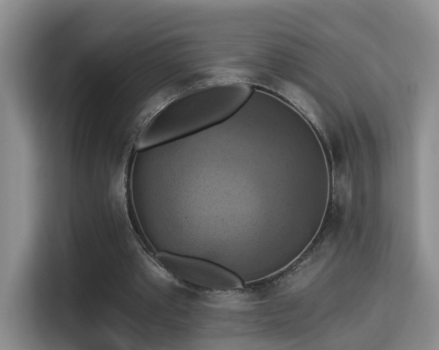 X0000115330389200911091249