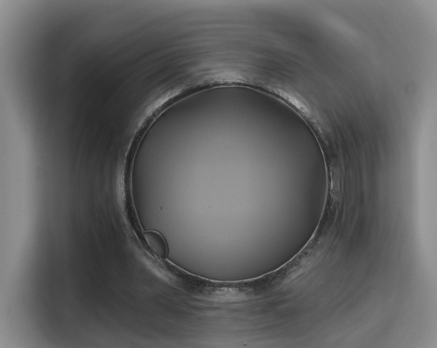 X0000115330390200911091249