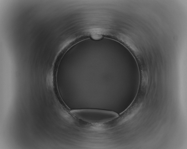 X0000115330391200911091249