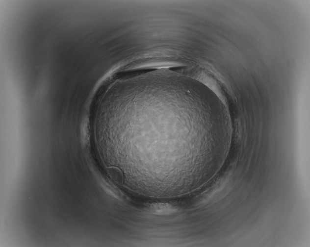 X0000115330392200911091249