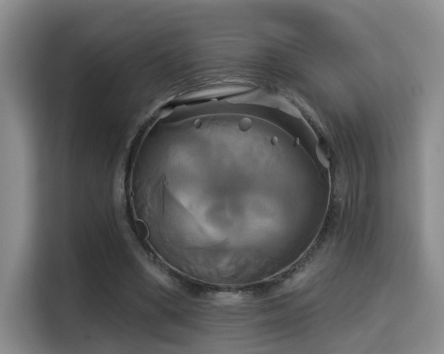 X0000115330394200911091249