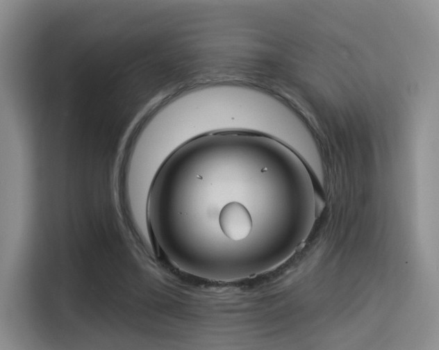 X0000115330395200911091249