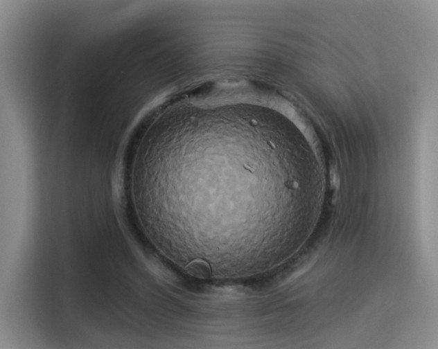 X0000115330396200911091249