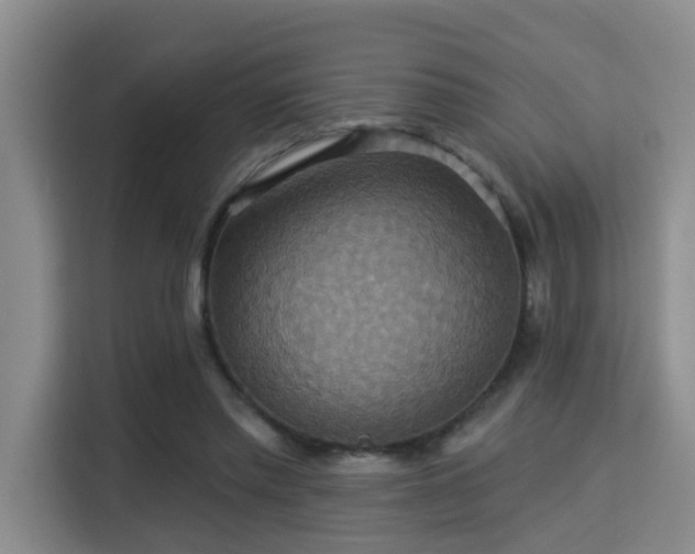 X0000115330397200911091249