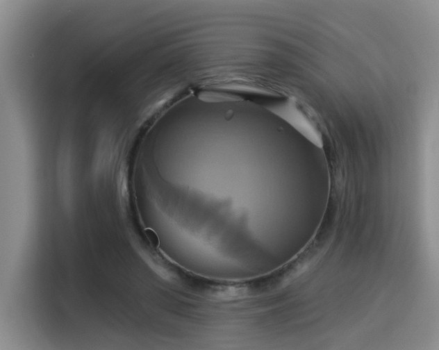X0000115330398200911091249