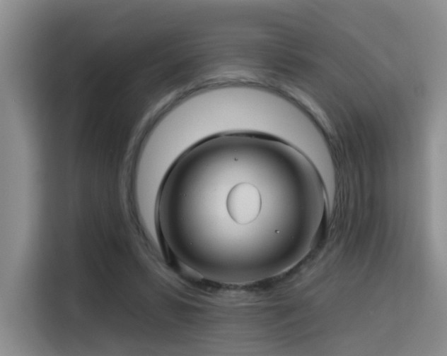 X0000115330399200911091249
