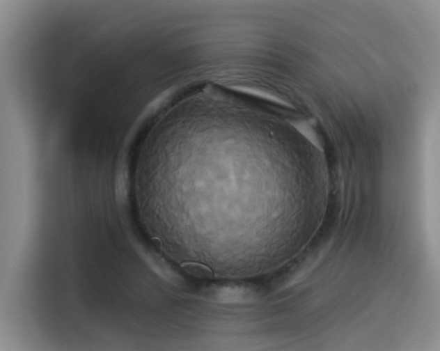 X0000115330400200911091249