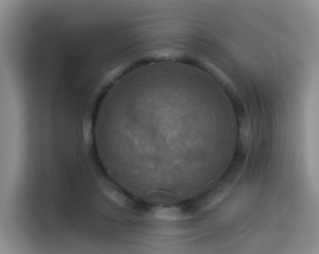 X0000115330403200911091249