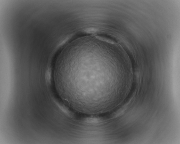 X0000115330404200911091249