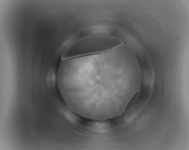 X0000115330405200911091249